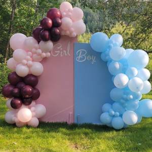 boy or girl gender reveal